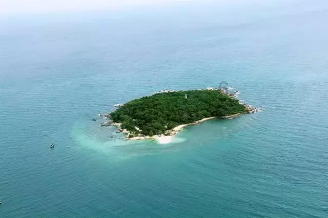 这个“三年行动计划”,石嘴山公安交出阶段性战果